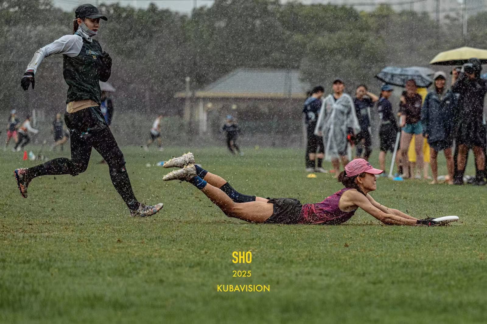 laying out Siren
